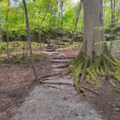Brigids Day Family Session (Afternoon)