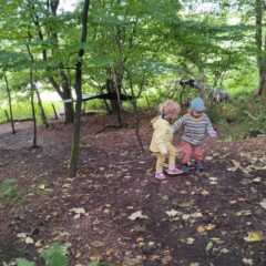 Tots Group-All Six Sessions
