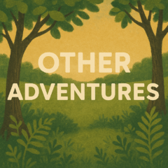 OTHER ADVENTURES