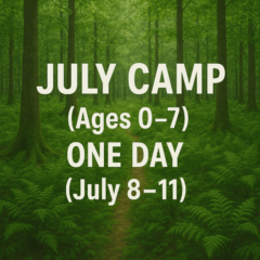 July Camp (Ages 0â7) â One Day (July 8â11)